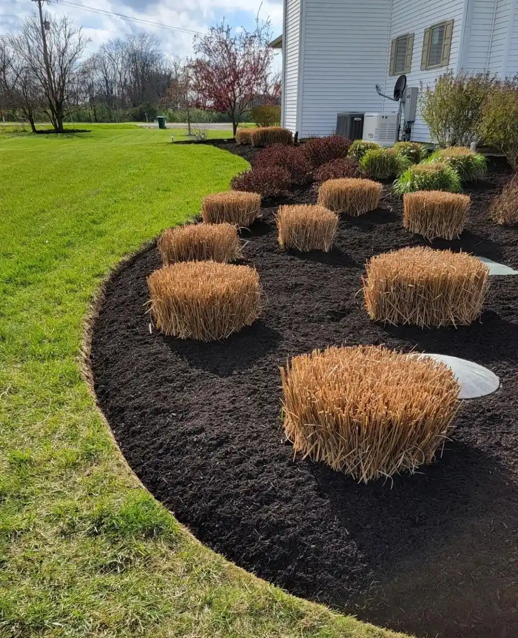 Collazo Landscaping professional lawn care Pennsylvania
