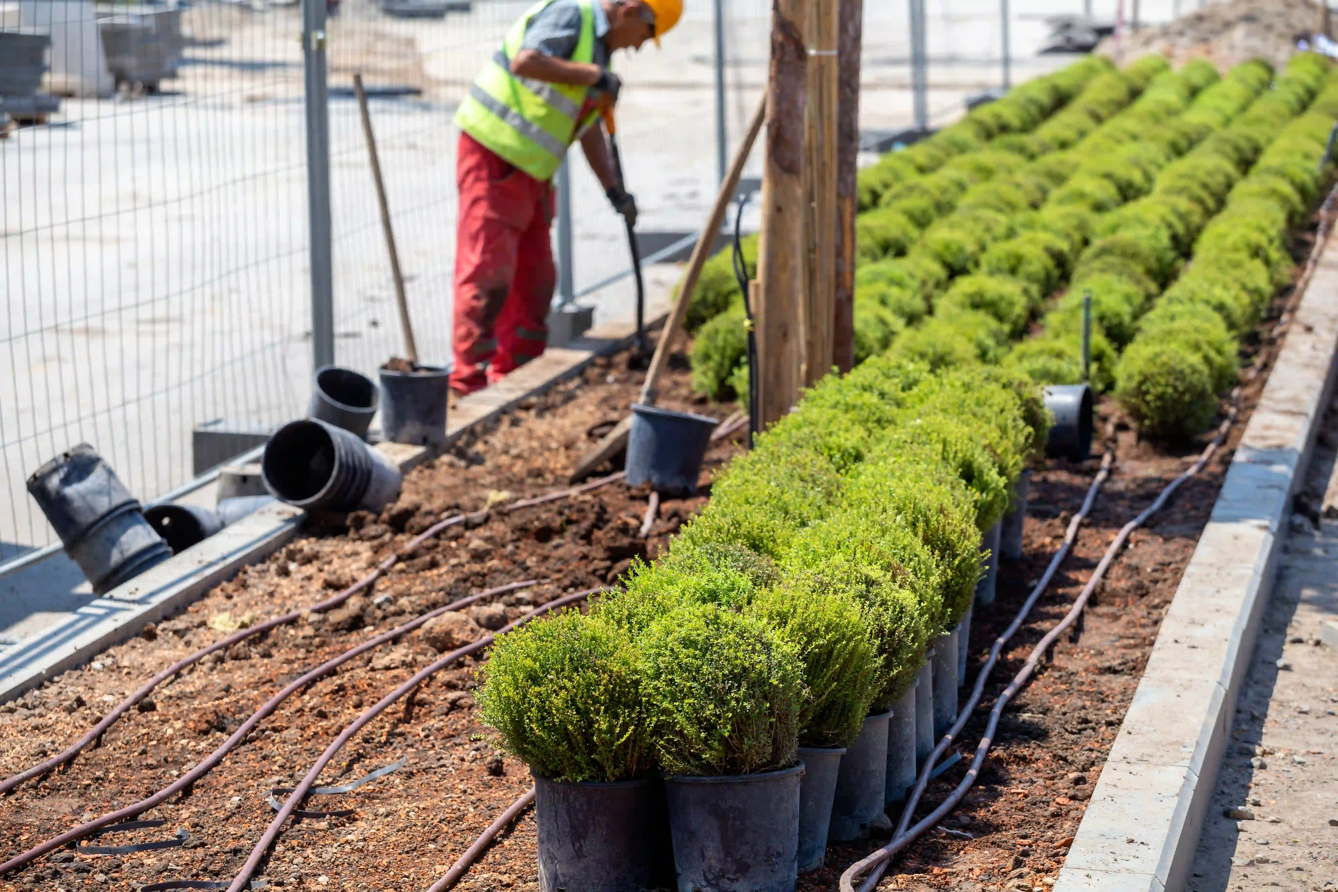 Professional planting and landscaping installation in Pennsylvania