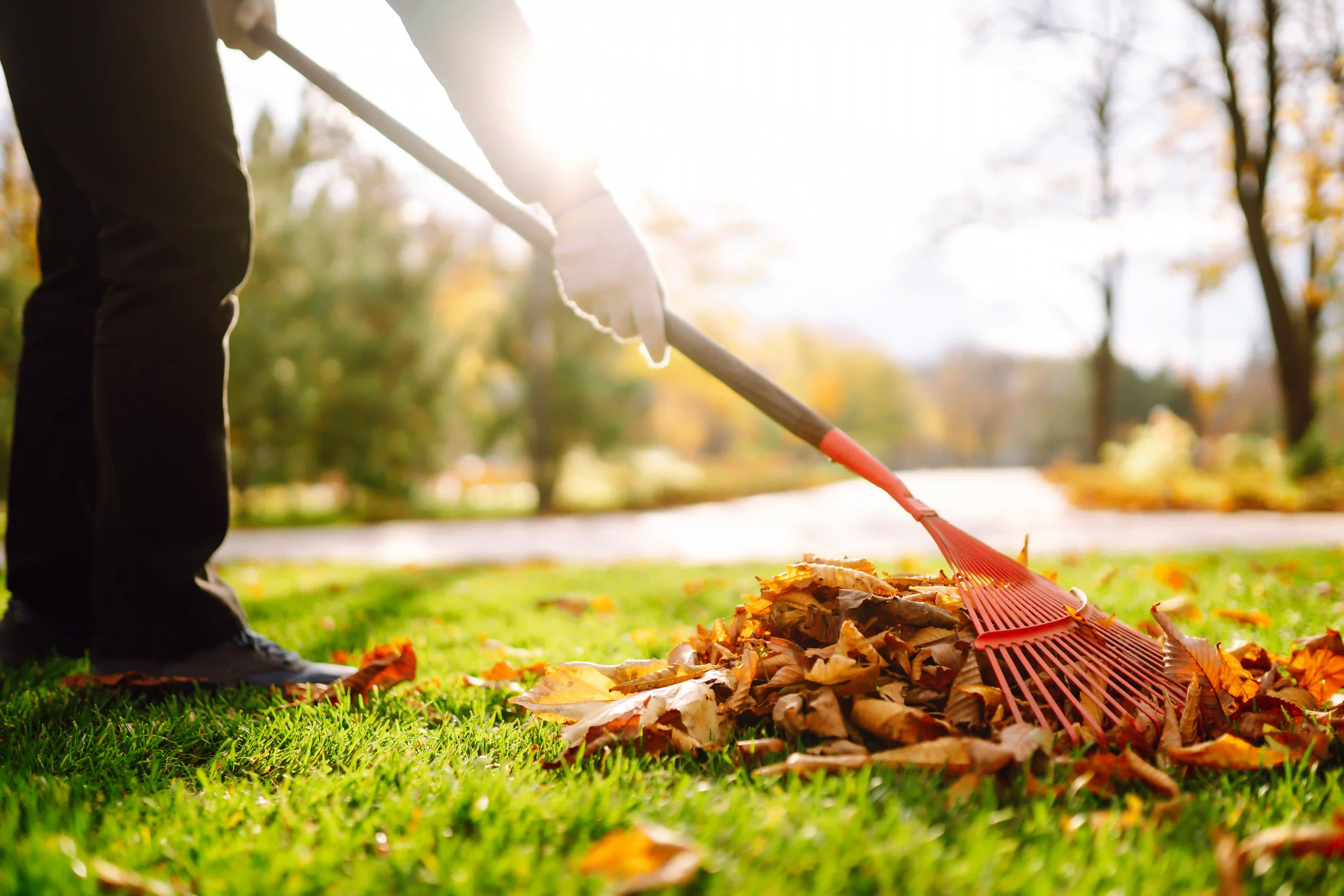 Lawn aeration Pennsylvania fall season